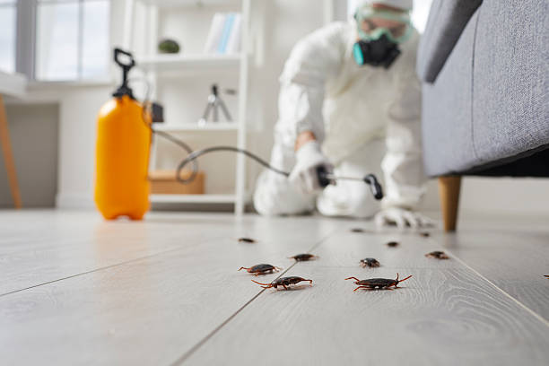 Commercial Rodent Management in Marengo
